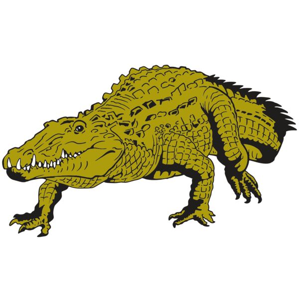 AR GATOR 13 RQC Thumbnail