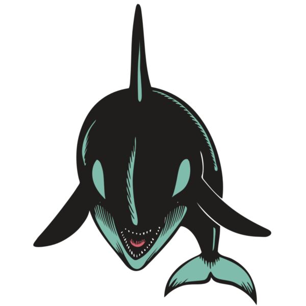 BAW KLRWHALE 03 RC Thumbnail